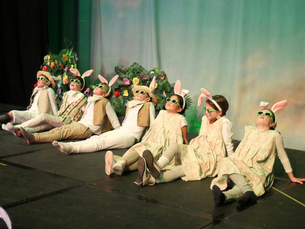 Performing arts at APZCN